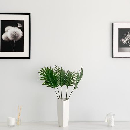 Apartament Chyba Snisz Łańcut Exteriör bild