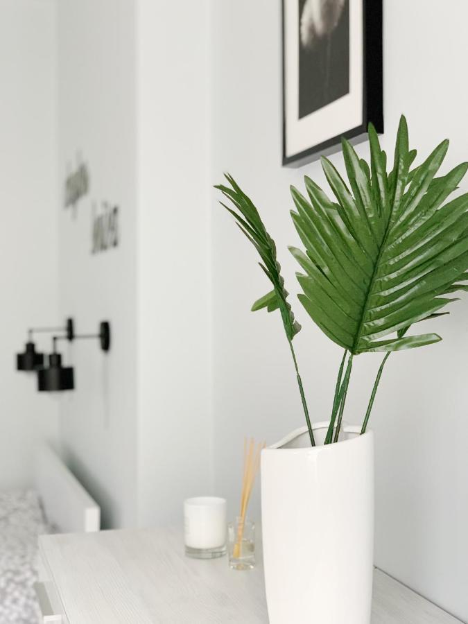 Apartament Chyba Snisz Łańcut Exteriör bild